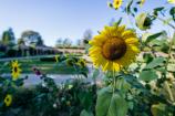 Jehay, the garden as the seasons come and go - Province de Liège ©