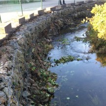 Le Moderscheiderbach - Réparation de gabions avant travaux