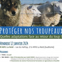 Affiche conférence