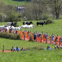  La Province de Liège : le partenaire des Classiques Ardennaises