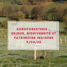 Formation agroforesterie