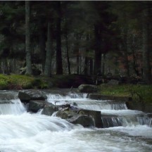 Ruisseau le Grumont - Passe à poisson en période de crue