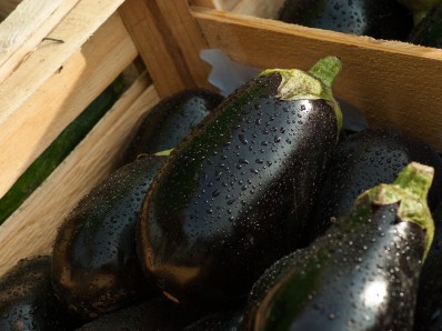 Aubergines