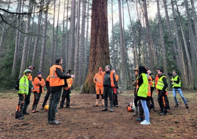 Formation en Pratique du bûcheronnage - Arboretum du Bois de la Vecquée (Seraing)