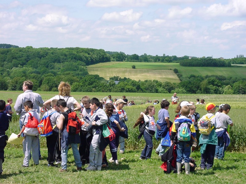 Visite de l'exploitation et des champs