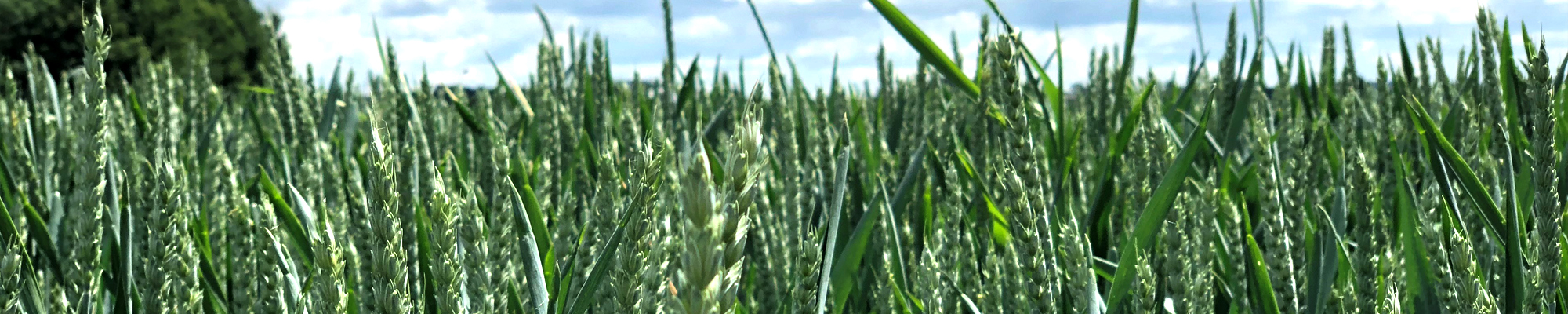 Agissons pour le climat