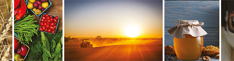 Centre de Formation en Agriculture et Ruralité